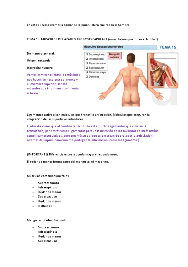 Miniatura del documento T15-MUSCULOS-TRONCOESCAPULARES-I.pdf