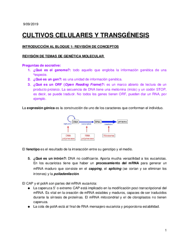 Miniatura del documento CULTIVOS-CELULARES-Y-TRANGENESIS.docx