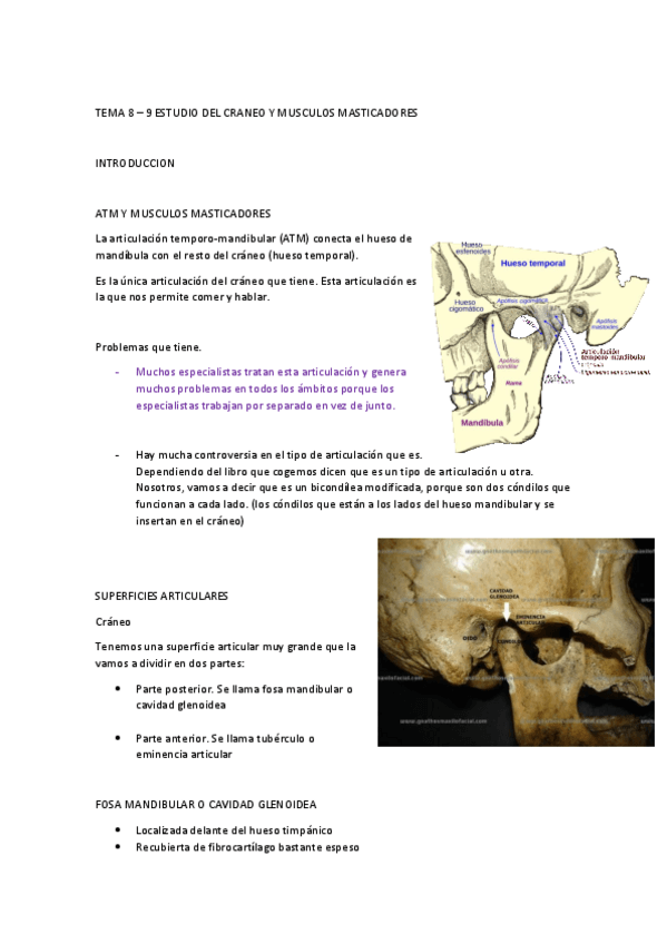 Miniatura del documento T8-9-ANATOMIA-FUNCIONAL.pdf