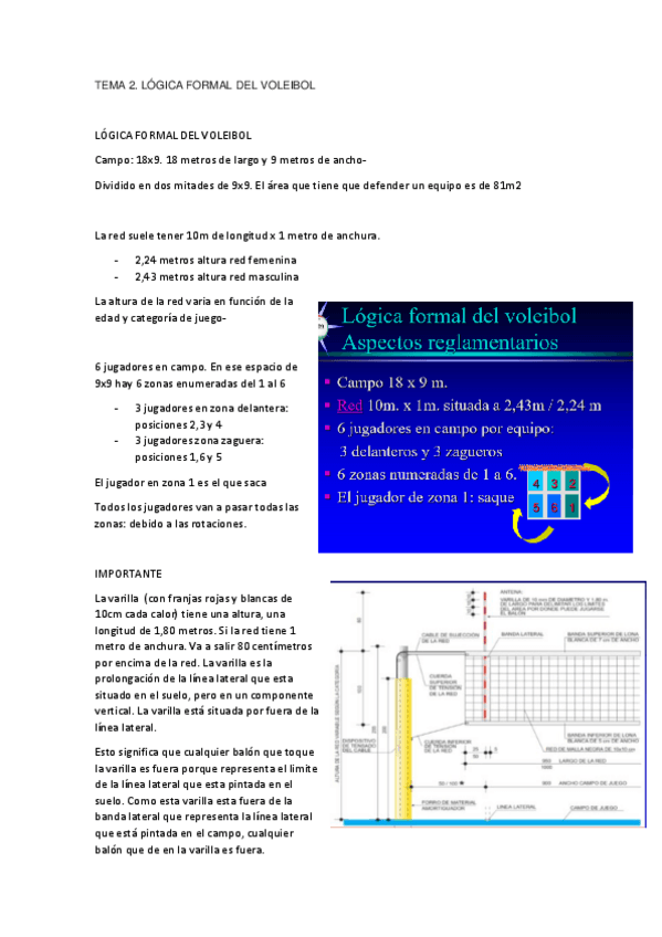 Miniatura del documento T2-LOGICA-FORMAL-DEL-VOLEIBOL.pdf