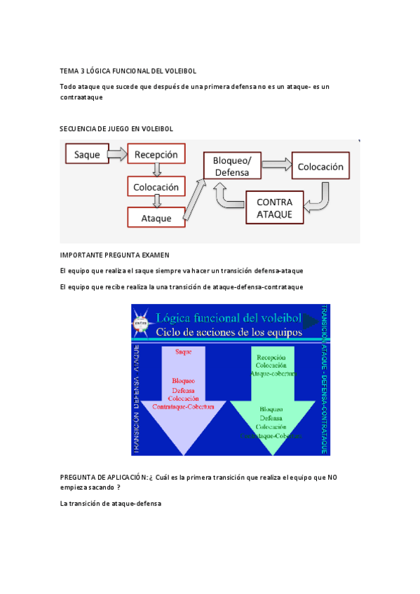Miniatura del documento T3-LOGICA-FUNCIONAL-DEL-VOLEIBOL.pdf
