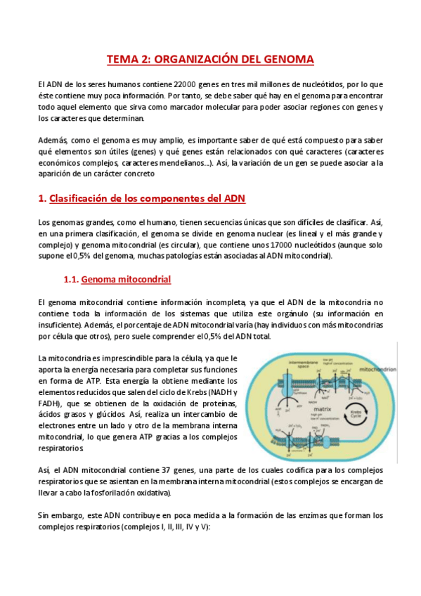 Miniatura del documento TEMA-2-Mejora-genetica.pdf
