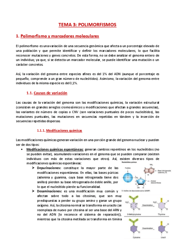 Miniatura del documento TEMA-3-Mejora-genetica.pdf