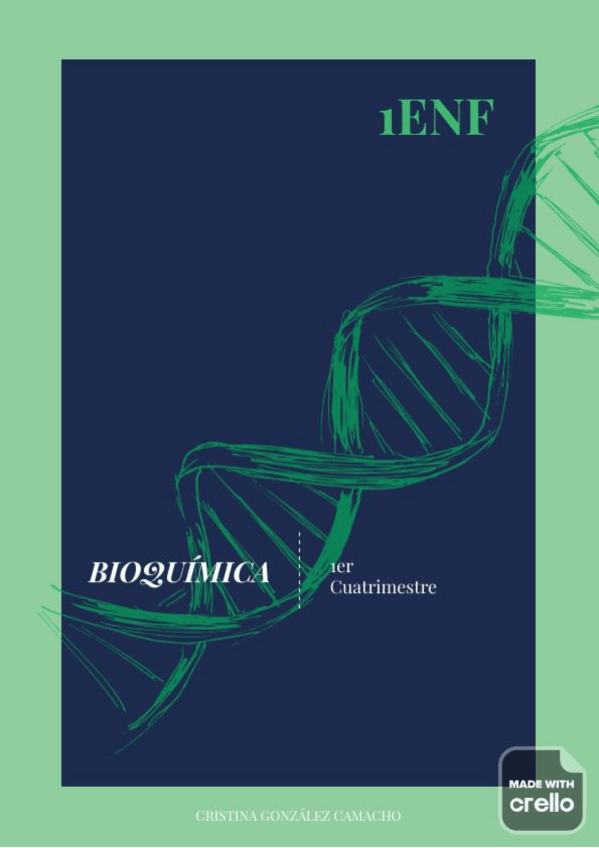 Miniatura del documento bioquimica-1ercuatri.pdf