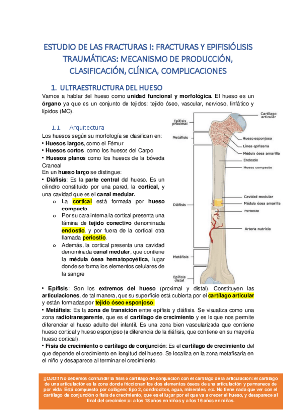 Miniatura del documento TEMA-1.pdf
