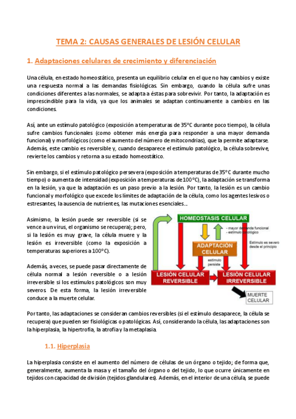 Miniatura del documento TEMA-2-Anatomia-Patologica-General.pdf