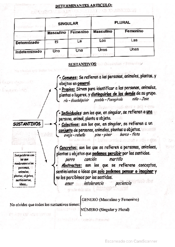 Miniatura del documento Gramatica-1.pdf
