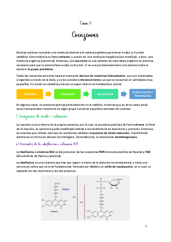 Miniatura del documento TEMA-7.pdf