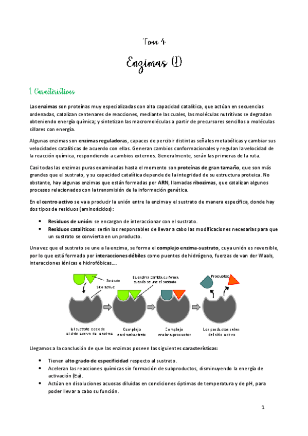 Miniatura del documento TEMA-4.pdf