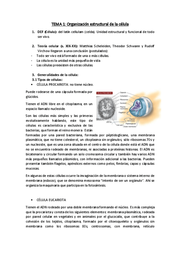 Miniatura del documento Biologia-Grupo-A.pdf