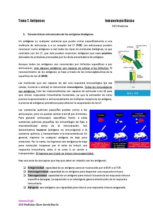 Miniatura del documento TEMA-7-los-antigenos.pdf