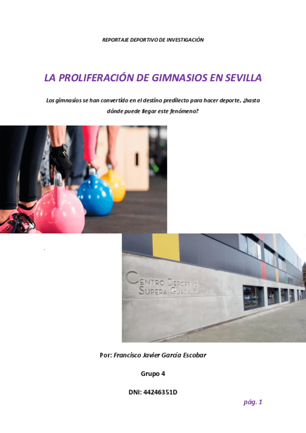 Miniatura del documento LA-PROLIFERACION-DE-GIMNASIOS-EN-SEVILLA-1.pdf