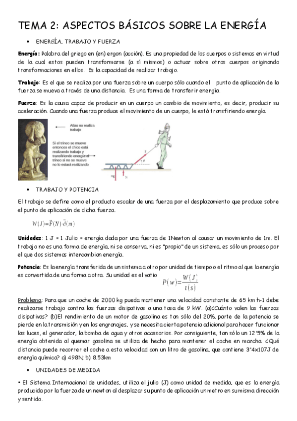 Miniatura del documento TEMA-2.pdf