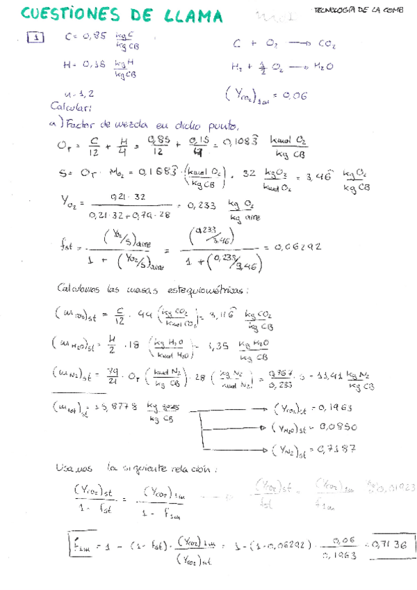 Miniatura del documento cuestiones-de-llama.pdf
