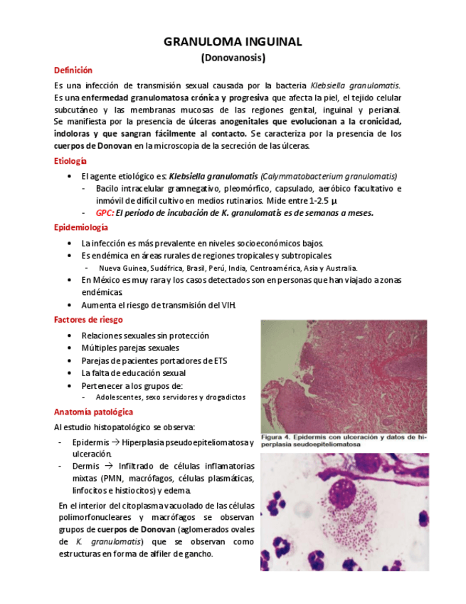 Miniatura del documento Granuloma-inguinal.pdf