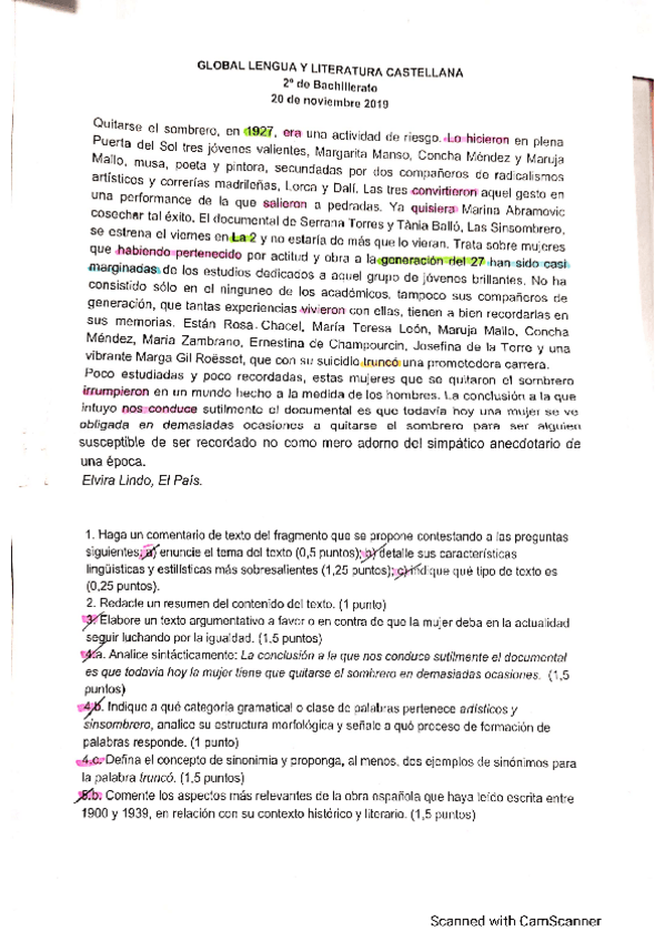 Miniatura del documento LENGUA-NOVIEMBRE.pdf