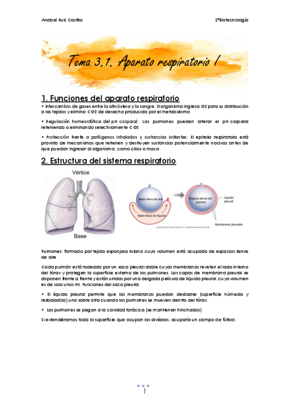 Miniatura del documento T3 Respiratorio.pdf