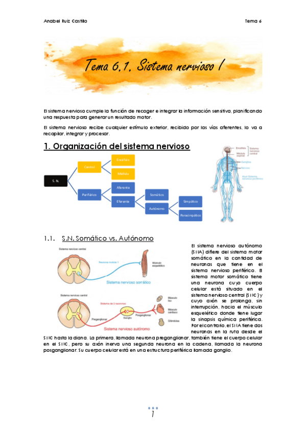 Miniatura del documento T6 Nervioso.pdf