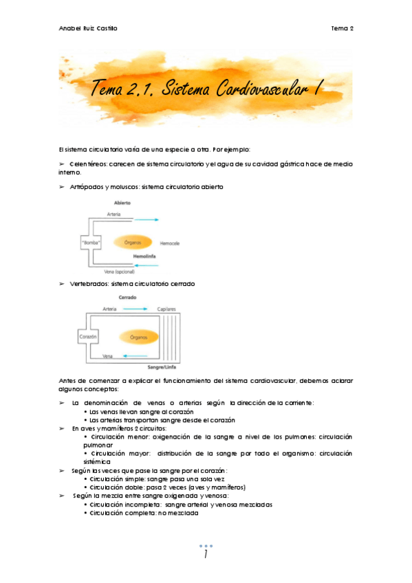 Miniatura del documento T2 Circulatorio.pdf