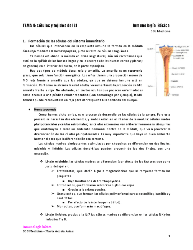 Miniatura del documento TEMA-4-1.pdf