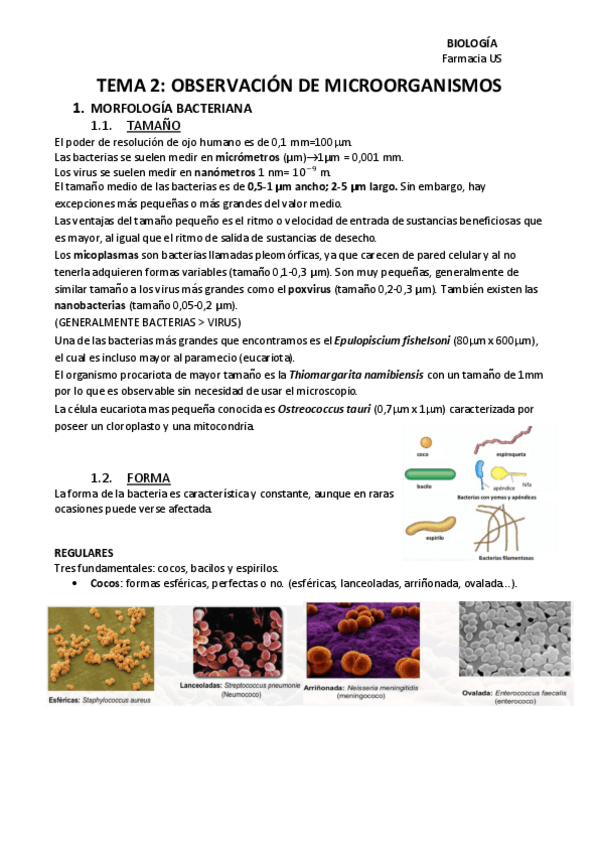Miniatura del documento TEMA-2-BIOOO.pdf