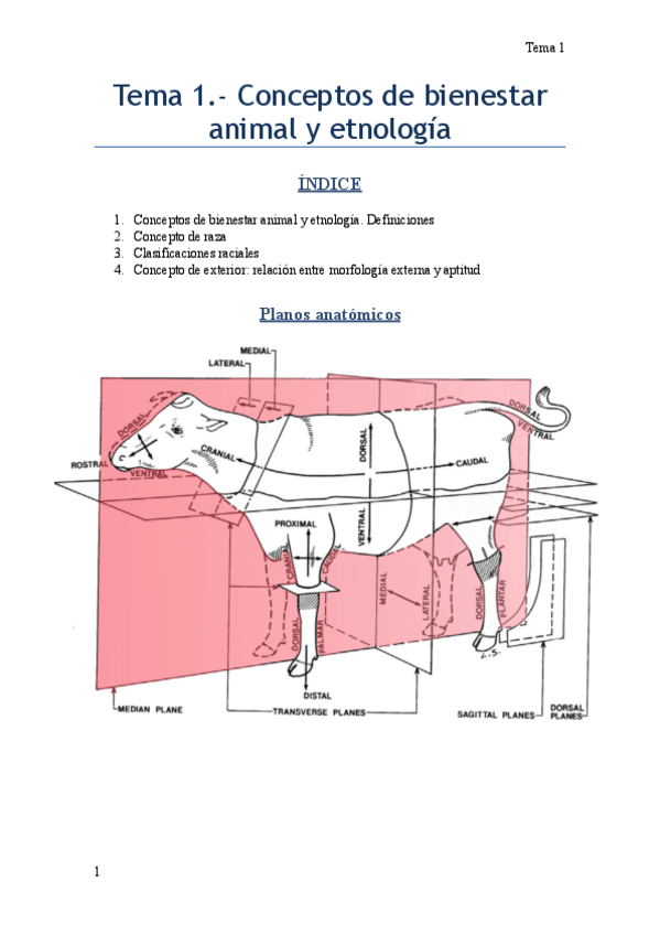 Miniatura del documento Bienestar-animal.pdf