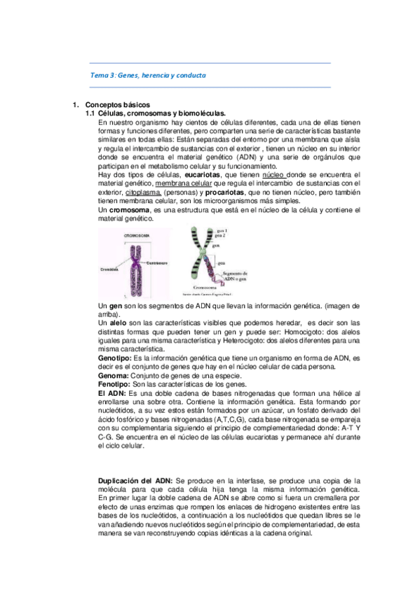 Miniatura del documento Tema-3-APUNTES.pdf