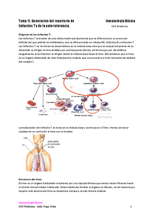 Miniatura del documento Tema-11-.pdf