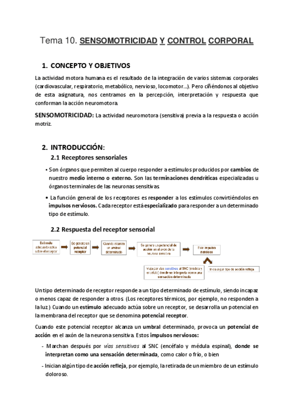 Miniatura del documento T10-SENSOMOTRICIDAD-Y-CONTROL-CORPORAL.pdf