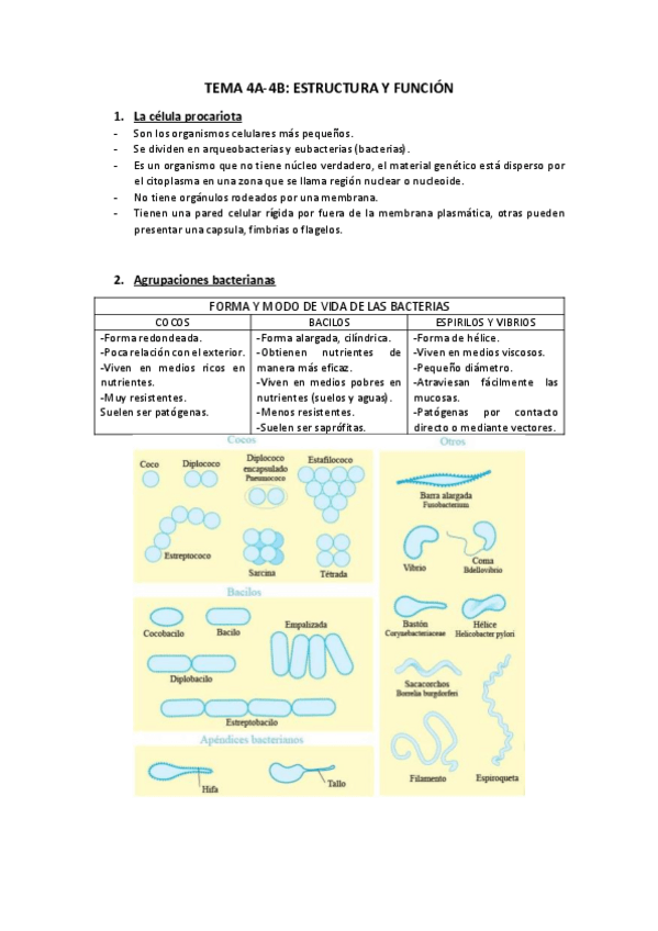 Miniatura del documento TEMA-4A-4b.pdf