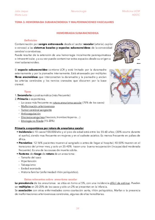 Miniatura del documento T3-HSA.pdf