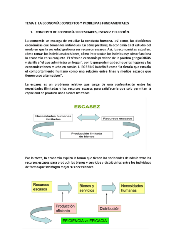 Miniatura del documento TEMA-1.pdf