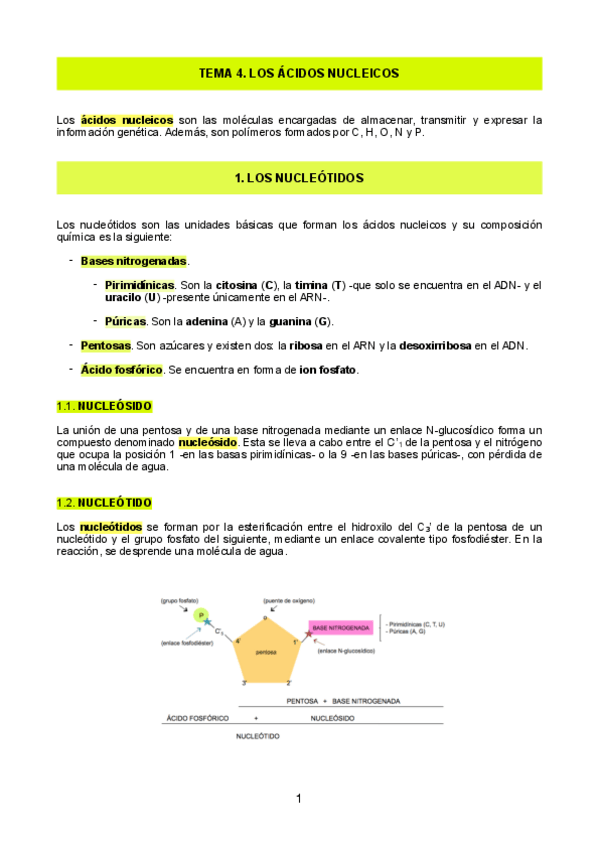 Miniatura del documento Tema4.pdf