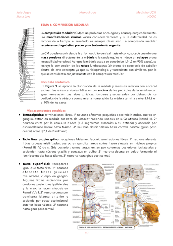 Miniatura del documento T6-COMP-MEDULAR.pdf