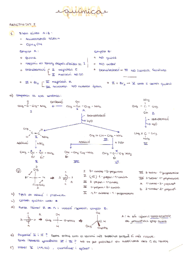 Miniatura del documento QUIMICA-Problemes-Reactivitat.pdf