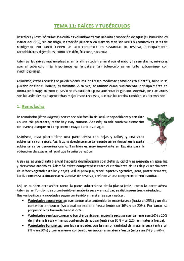 Miniatura del documento TEMA-11-Agronomia.pdf