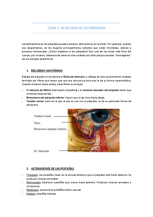 Miniatura del documento TEMA-3-PATOLOGIA-DEL-PARPADO.pdf