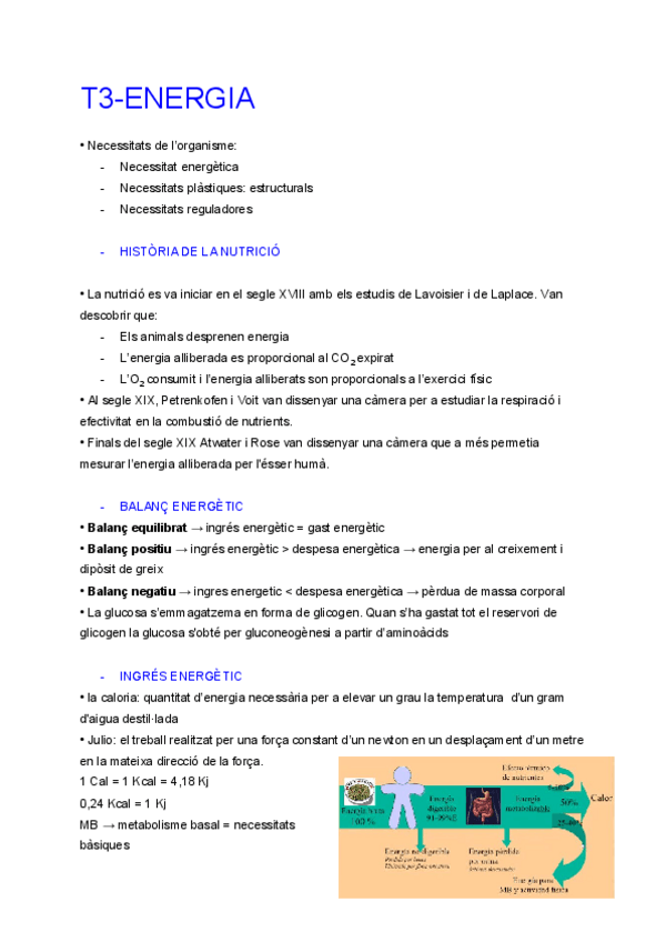 Miniatura del documento TEMA-3-Energia.pdf
