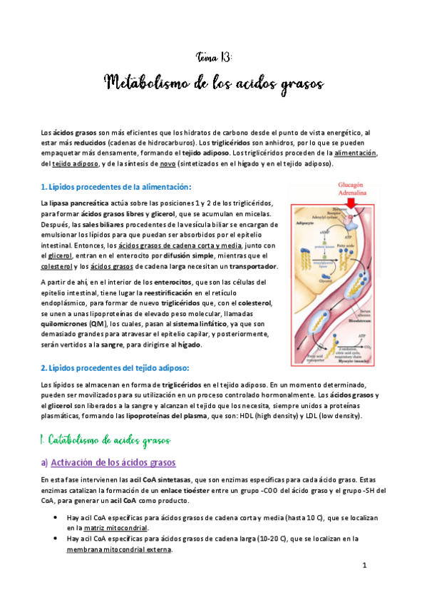 Miniatura del documento TEMA-13.pdf