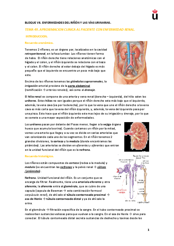Miniatura del documento Bloque-VII-ENFERMEDADES-DEL-RINON-Y-LAS-VIAS-URINARIAS.pdf
