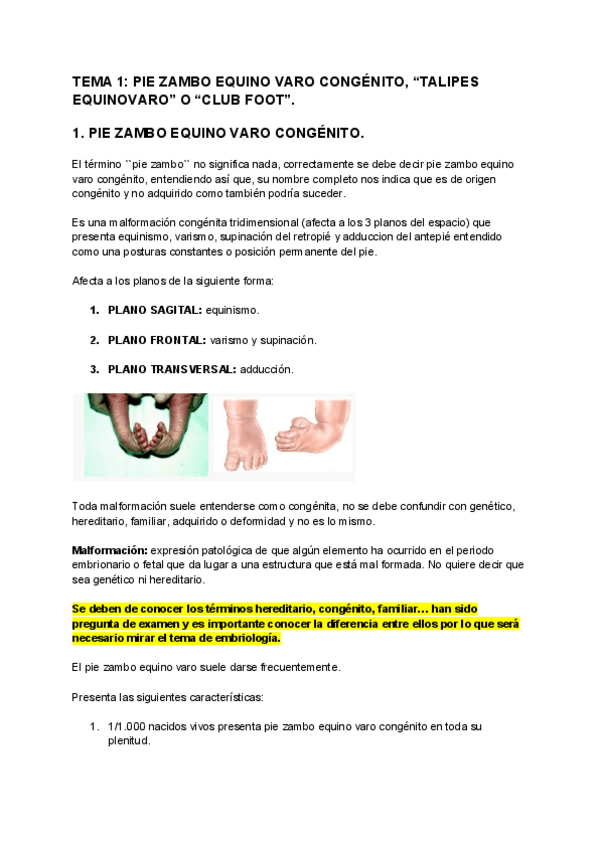 Miniatura del documento TEMA-1-PIE-ZAMBO-EQUINO-VARO-CONGENITO-TALIPES-EQUINOVARO-O-CLUB-FOOT.pdf