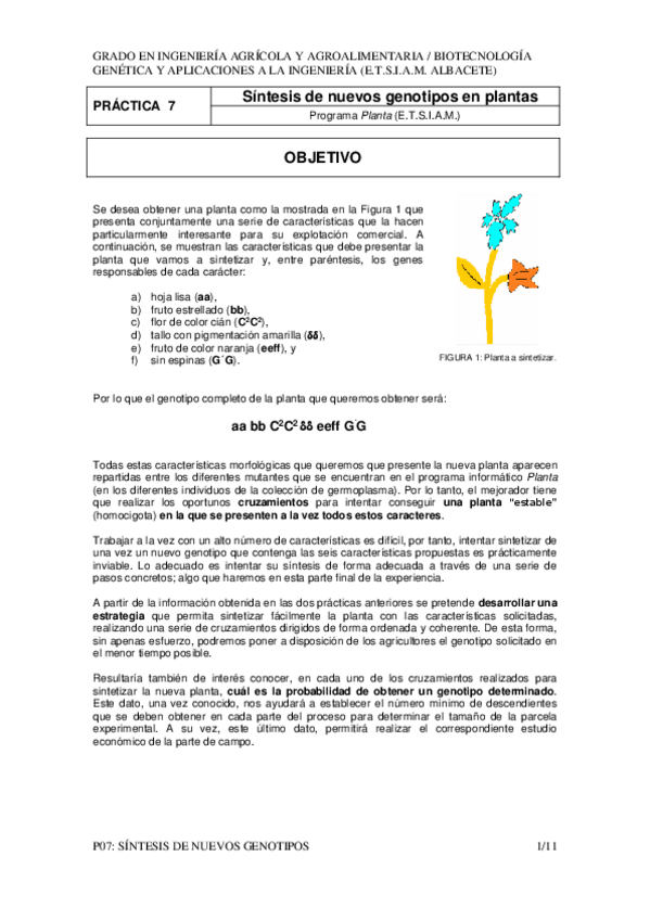 Miniatura del documento P07.pdf