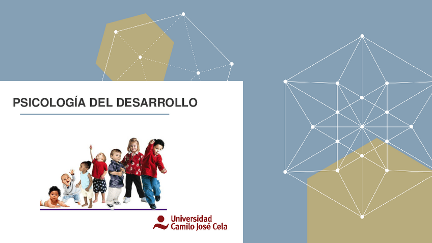 Miniatura del documento Tema-1-psicologia-del-desarrollo.pdf