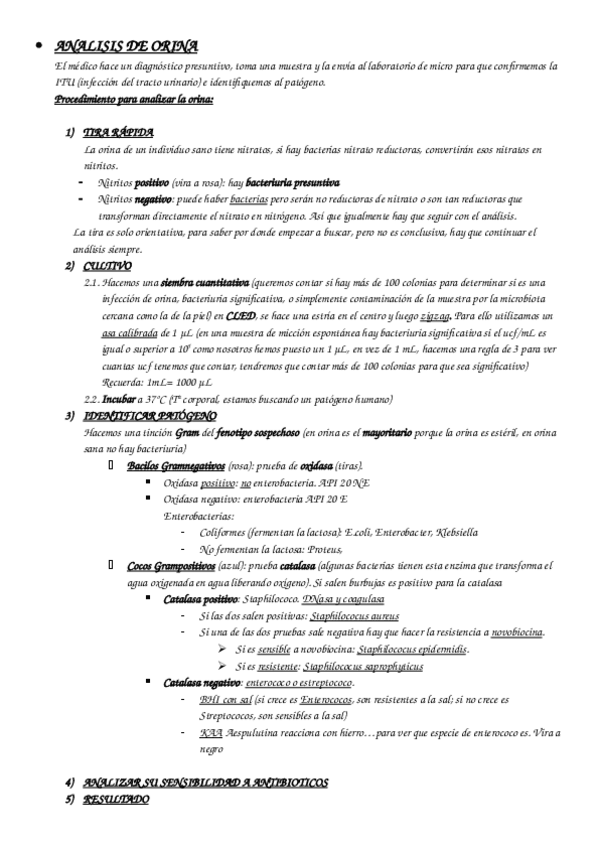 Miniatura del documento Apuntes-practicas.docx