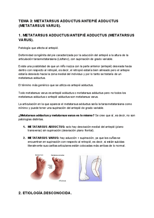 Miniatura del documento TEMA-3-METATARSUS-ADDUCTUSANTEPIE-ADDUCTUS-METATARSUS-VARUS.pdf