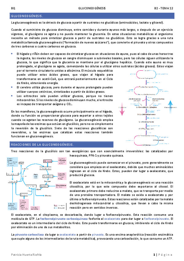 Miniatura del documento T12.pdf