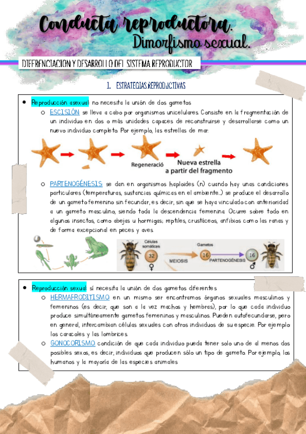Miniatura del documento tema-1-parte-1-diapos1-39.pdf