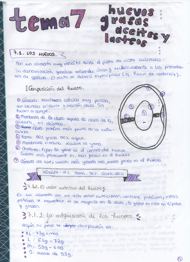 Miniatura del documento Tema-7.pdf