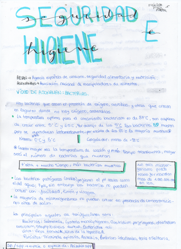 Miniatura del documento Seguridad-e-Higiene.pdf