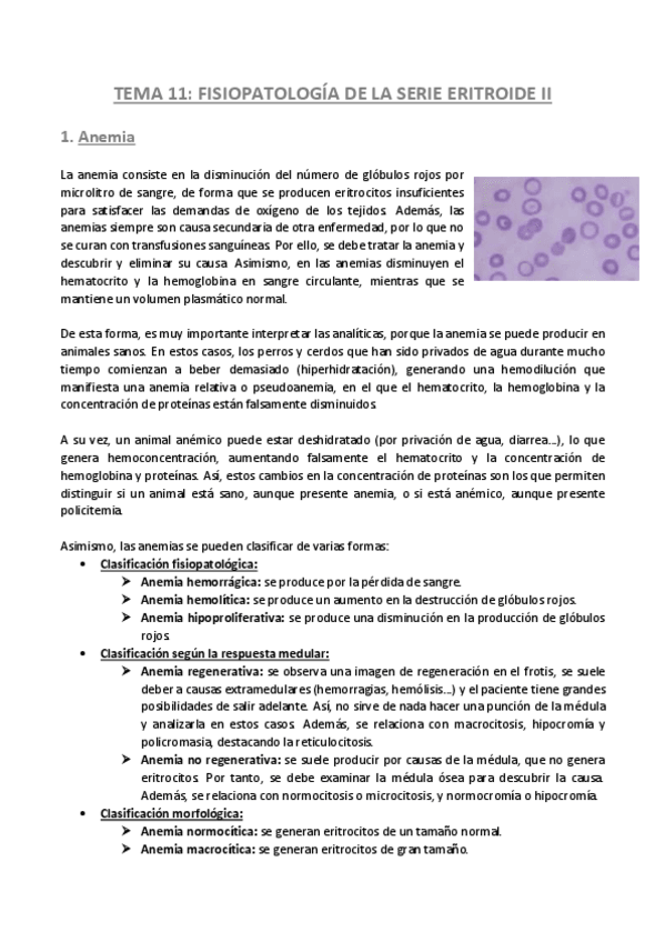 Miniatura del documento TEMA-11-Patologia-General.pdf